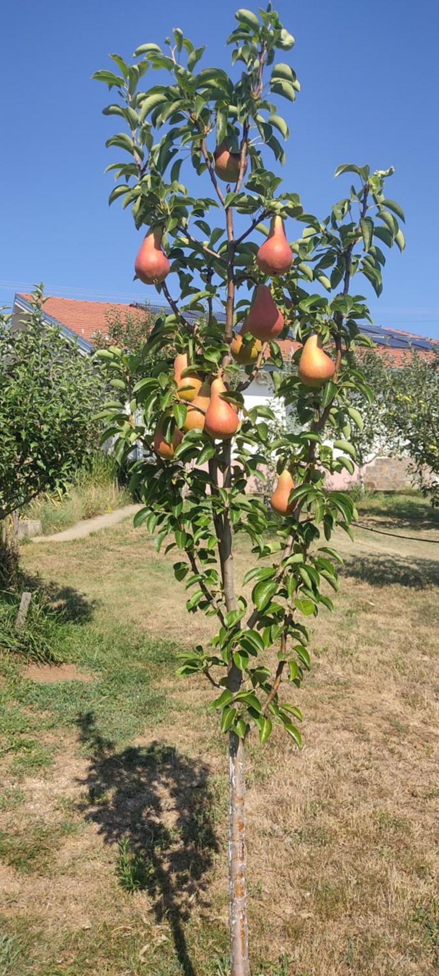 Hotel Cider&Squash, Grncarska 8, Prnjavor Batocina المظهر الخارجي الصورة