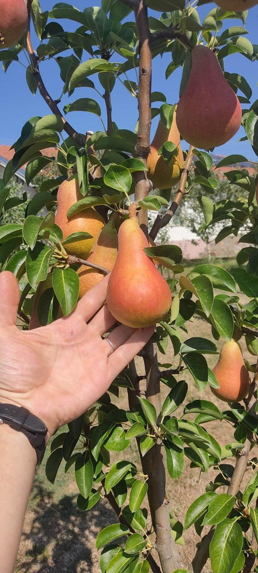 Hotel Cider&Squash, Grncarska 8, Prnjavor Batocina المظهر الخارجي الصورة
